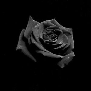 Meet your Posher, Richard